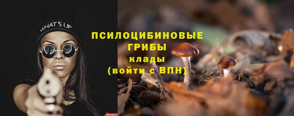 PSILOCYBIN Алексеевка