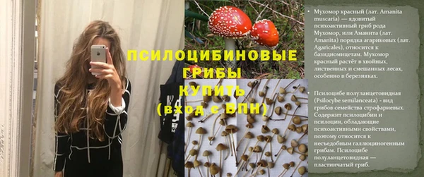 тгк Алзамай