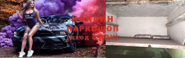 тгк Алзамай